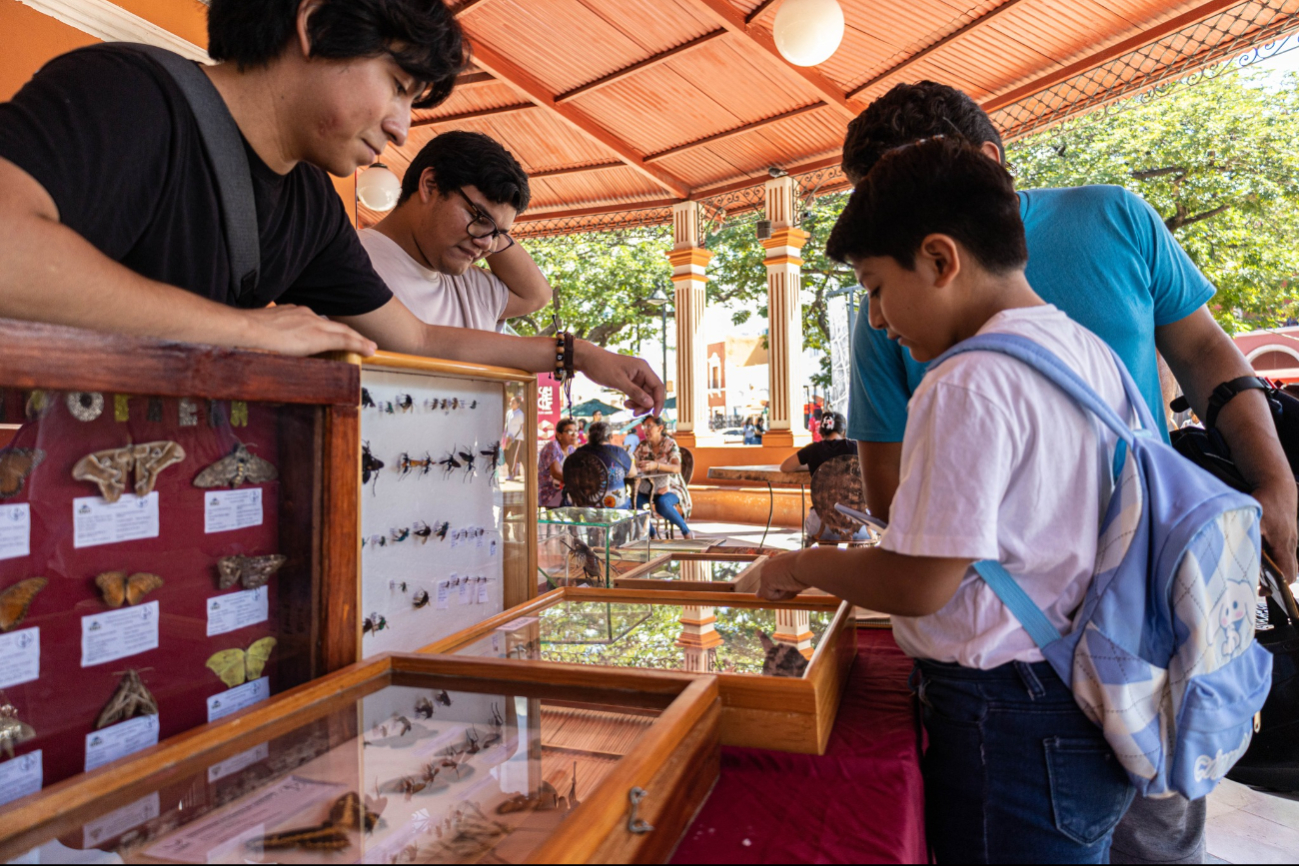 La muestra estará disponible del 7 de noviembre al 7 de diciembre en el Parque Principal del Centro Histórico.