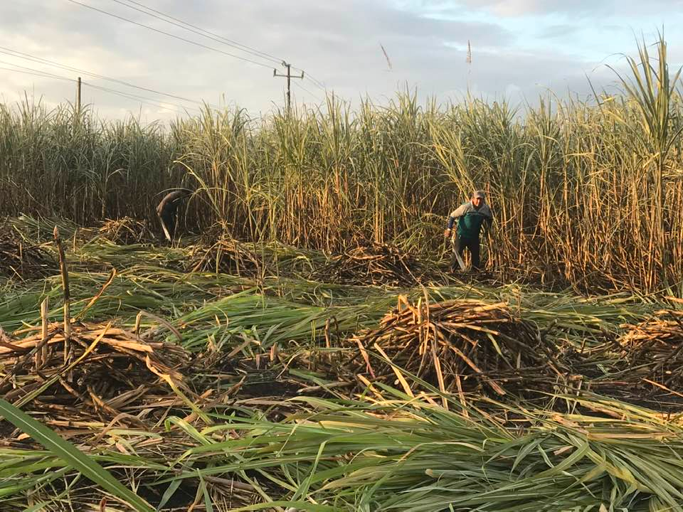Trabajadores consideraron que el éxito de la próxima cosecha en el sur dependerá de reactivar el mercado naciona