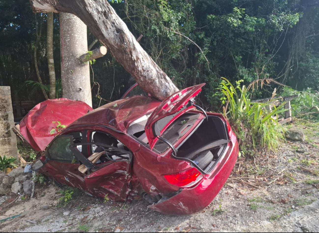 El vehículo terminó destrozado tras el impacto contra un árbol.