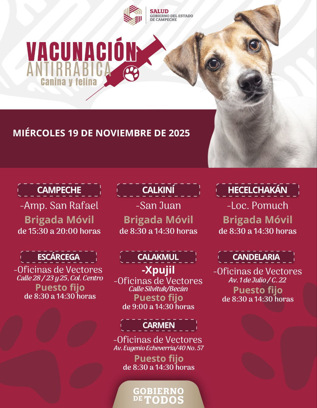 Habrá brigadas móviles y puestos fijos en Campeche, Calkiní, Hecelchakán, Escárcega, Calakmul, Candelaria y Carmen.