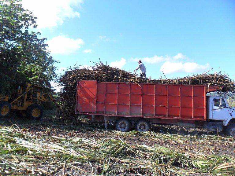 Los cañeros esperan que las autoridades intervengan una vez que las denuncias sean interpuestas en las instancias correspondientes