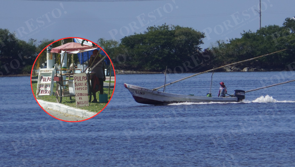 Pese a la baja producción, pescadores de Campeche sostienen capturas de 10 a 15 kilos de pulpo