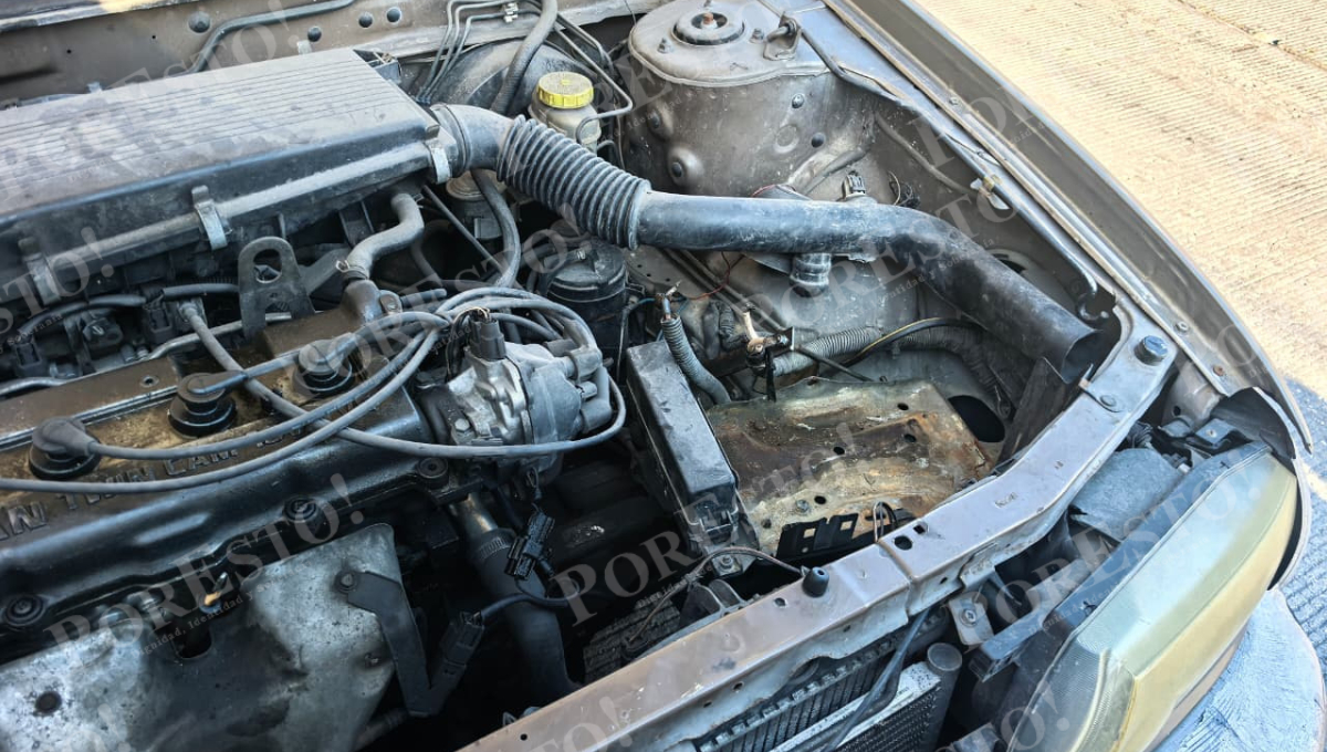 Una pareja de adultos mayores fue víctima reciente: les forzaron la puerta y les robaron la batería mientras estaban en consulta.