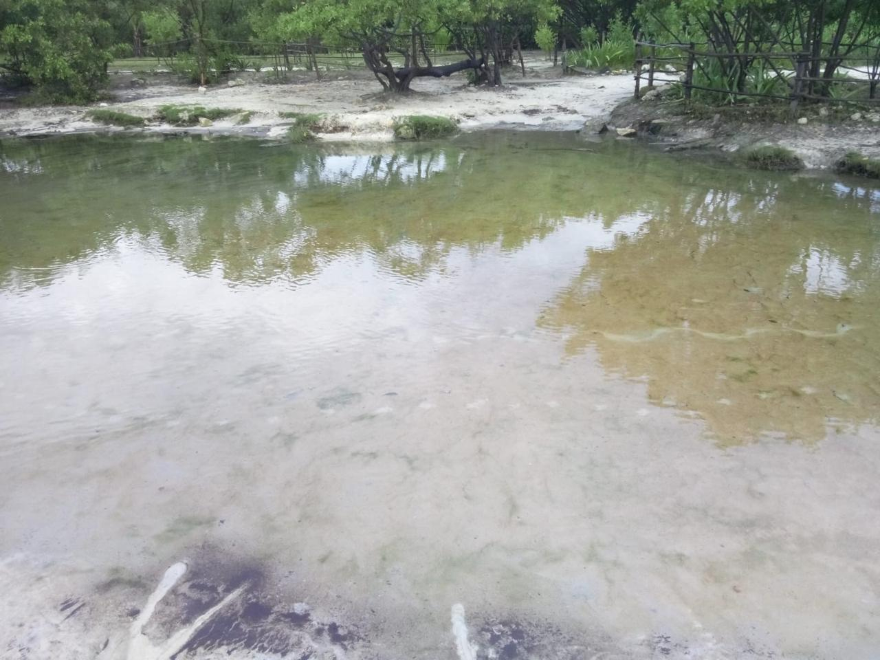 Las autoridades no han acudido a realizar pruebas en el cenote.