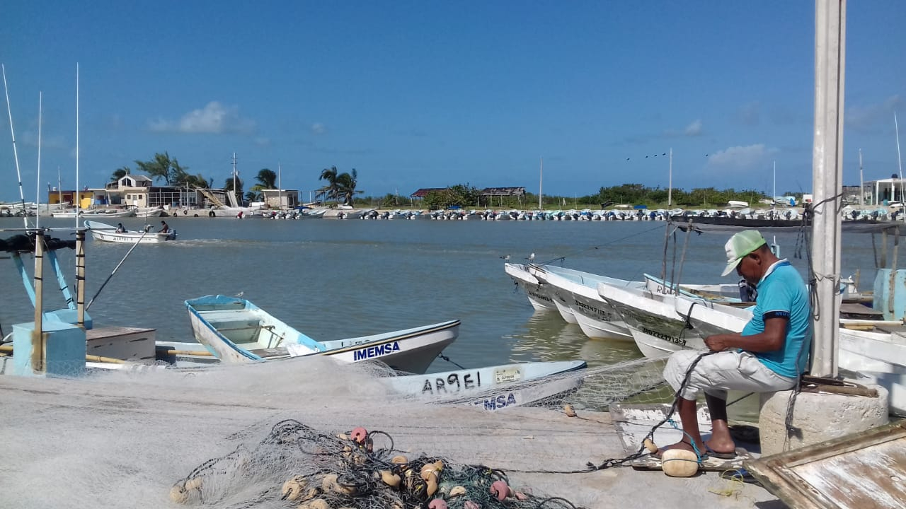 Son varios los factores que han afectado la actividad.