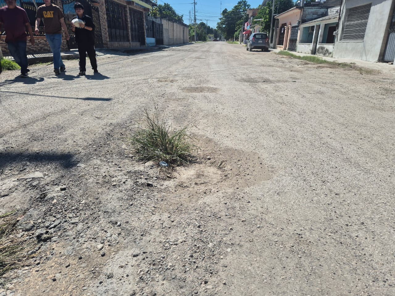 En algunos puntos ya creció vegetación, pues no se han arreglado los baches.