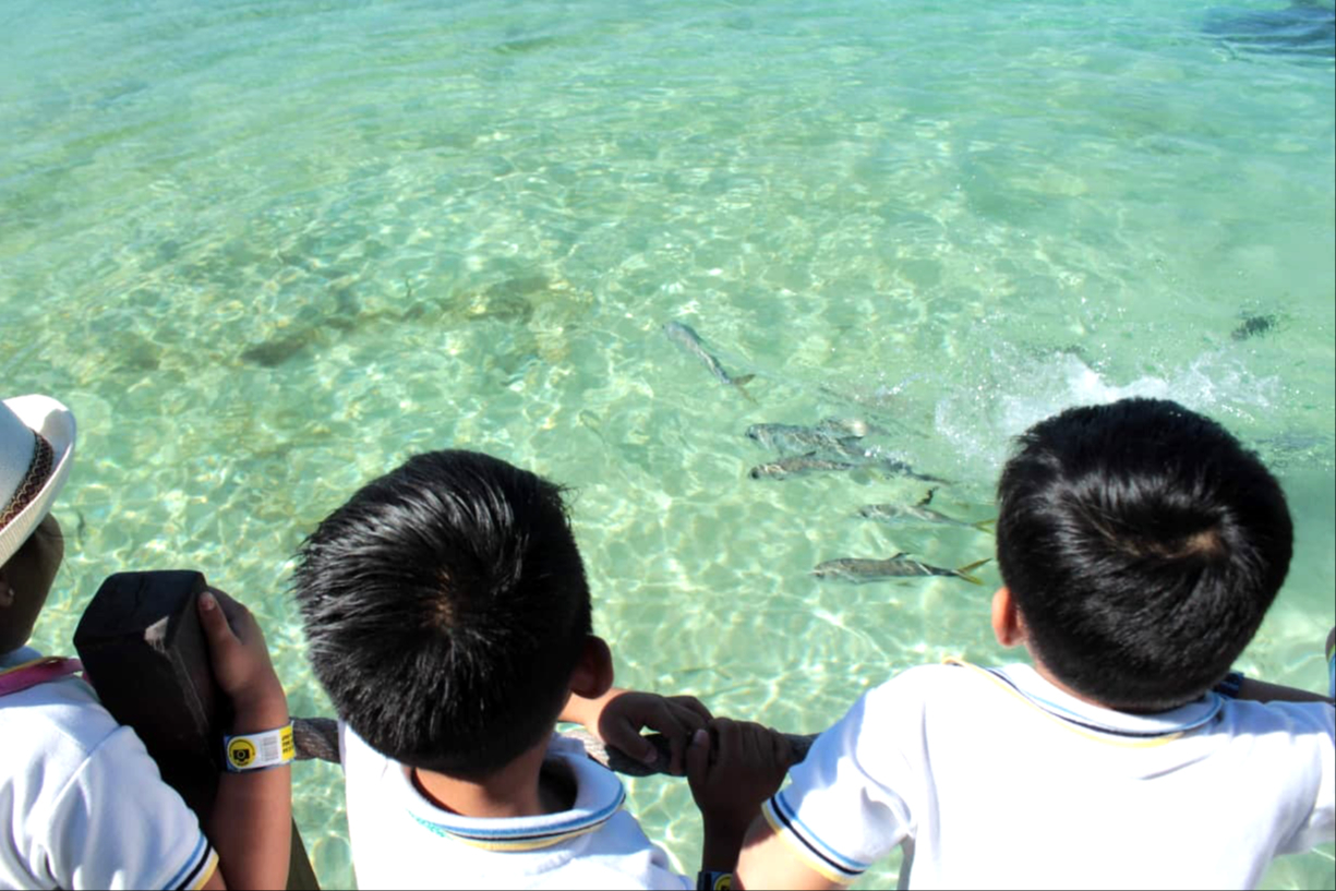 La icónica arena blanca de Quintana Roo es un atractivo para visitantes de otros lugares