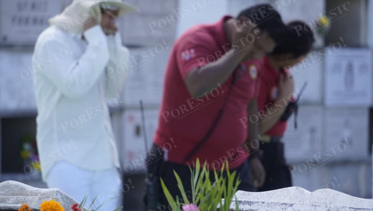 Lo que era homenaje a difuntos terminó en ataque de abejas