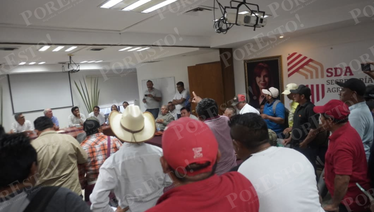 Ante la falta de avances, los productores ingresaron a la fuerza al salón de reuniones.