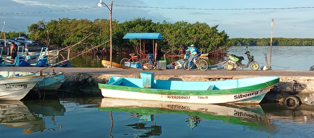 El kilo del molusco  alcanza sólo 100  pesos, sin compensar  costos operativos