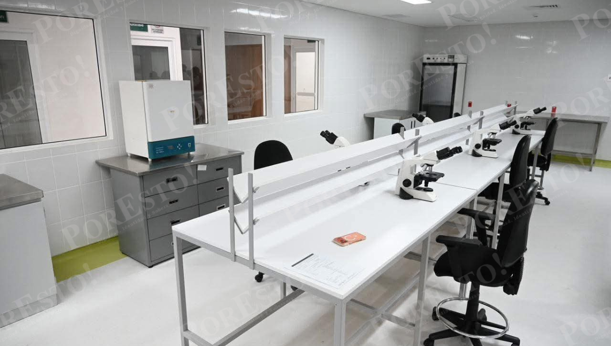 Los servicios especializados para mujeres y menores son los más