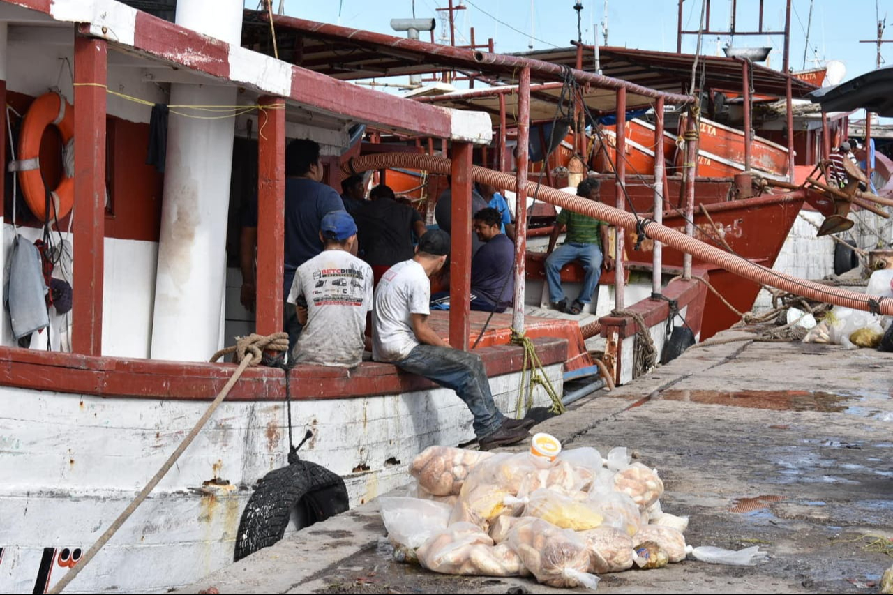 Marineros arriban a Progreso con varias toneladas de pulpo antes del cierre de la temporada de captura