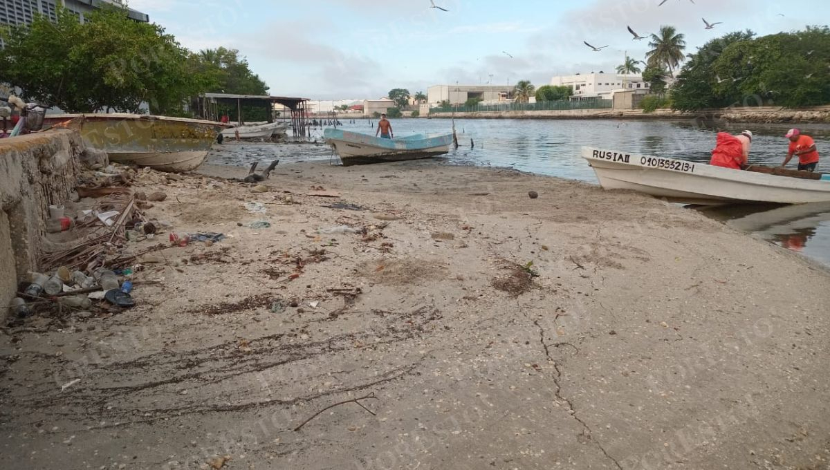 Sociedad Cooperativa “Escameros del Golfo” exige respuesta a autoridades