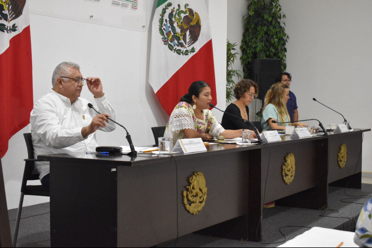 Legisladores proponen un Parlamento Abierto con asociaciones, familias y personas con la condición