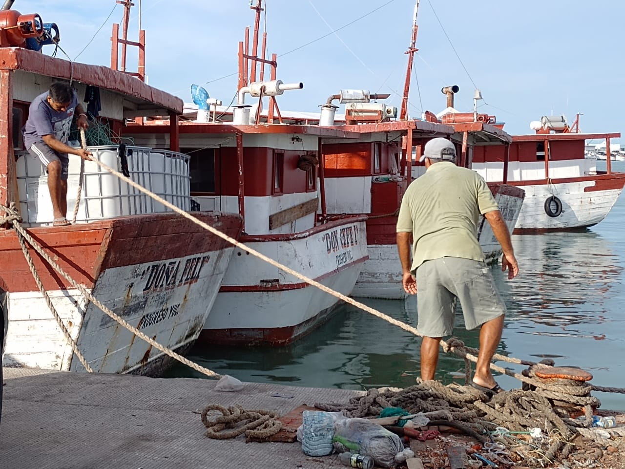 Pescadores de la región se preparan para cerrar la temporada de pulpo el próximo 15 de diciembre