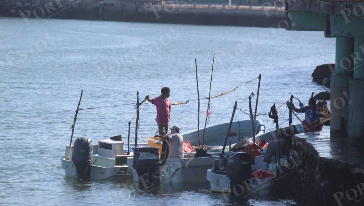 Pescadores regresan con hasta 200 kilos de cojinuda tras mejora en el litoral de Champotón