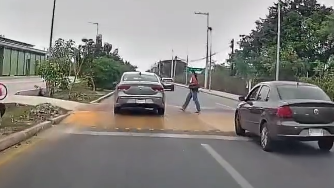 Un conductor estuvo cerca de atropellar a una mujer que cruzaba por un paso peatonal de Mérida