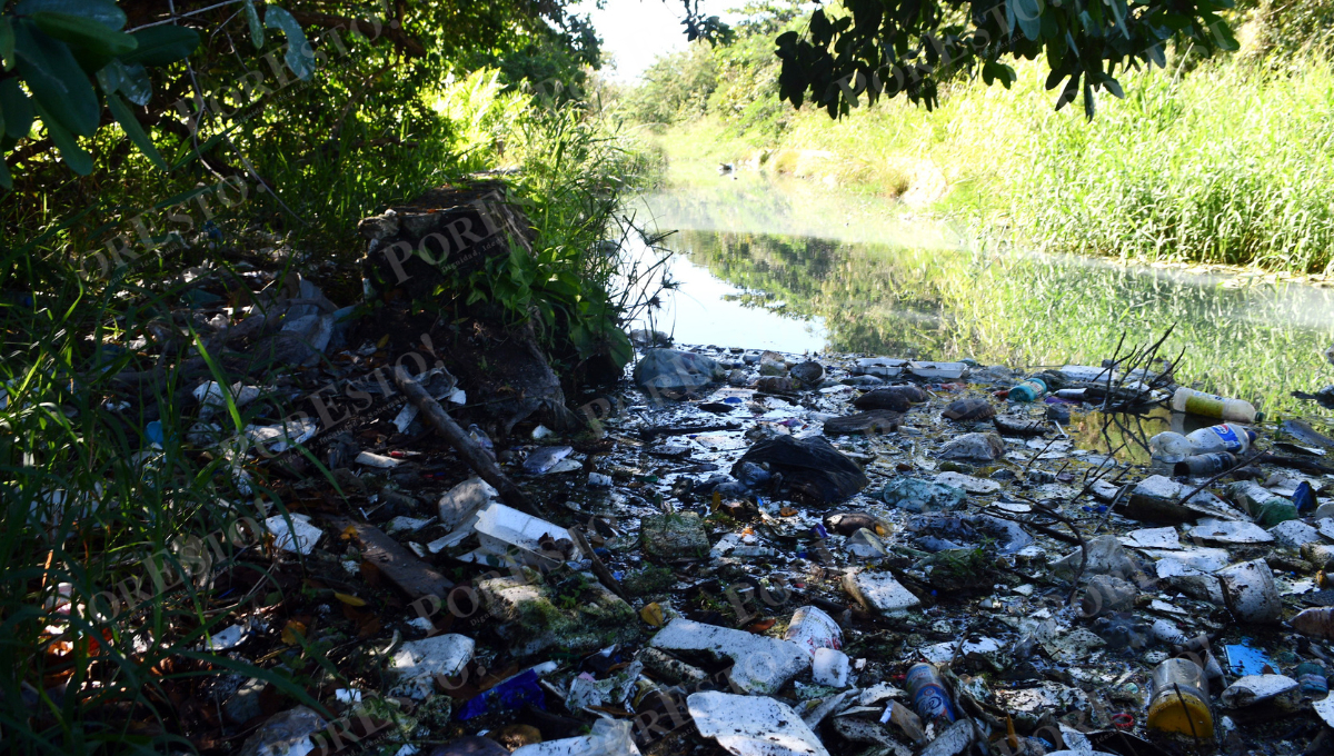 80% del presupuesto para aguas residuales proviene de la Federación