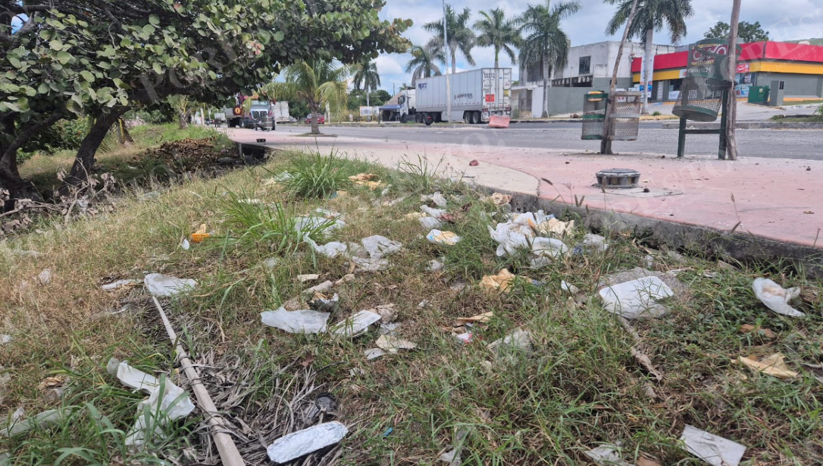 Entre los desechos destacan botellas de plástico y vidrio, latas y bolsas de nylon.