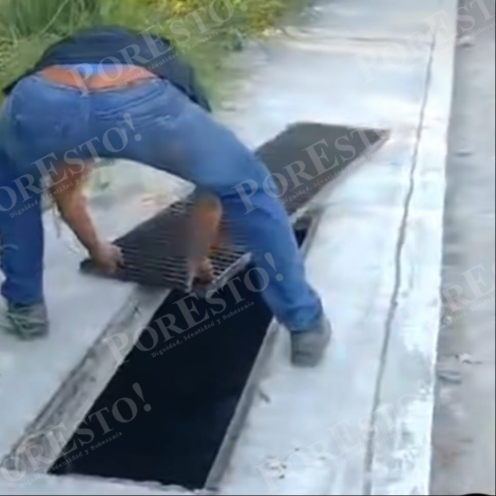 Vecinos lo sorprendieron en plena luz del día y alertaron a la Policía Municipal.