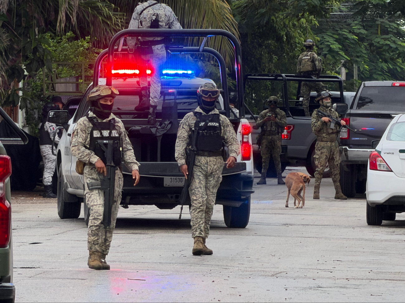 De enero del 2024 a octubre del 2025 se han efectuado 173 cateos que fueron autorizados por respectivos jueces