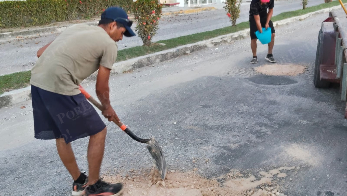 Labor comunitaria en Candelaria: compactadora y voluntarios contra los baches