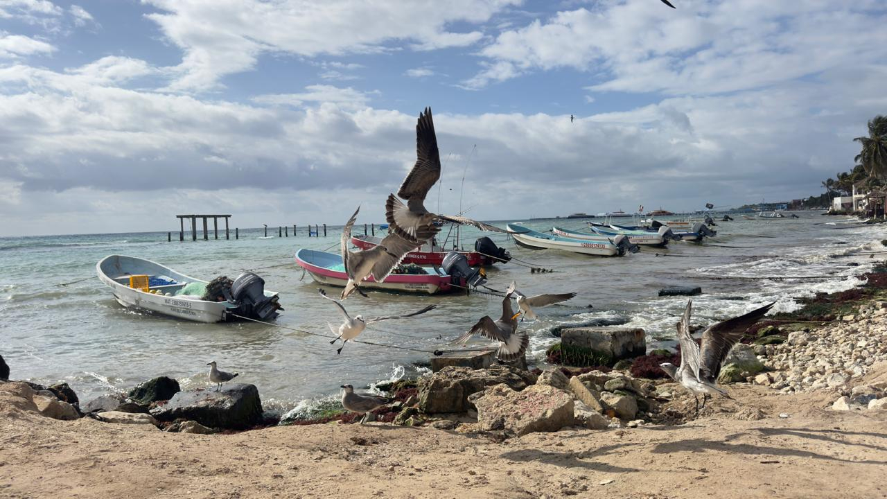 Los prestadores de servicios náuticos no tienen trabajo, actualmente.