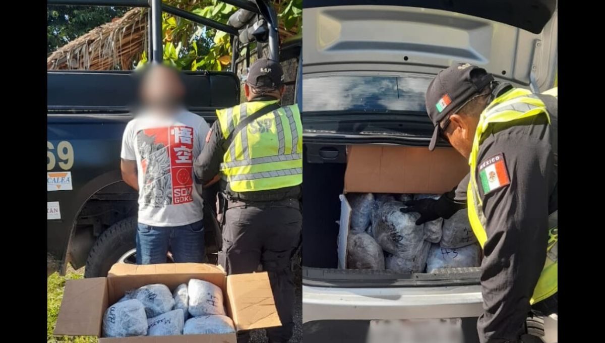 SSP decomisa 29 paquetes de cannabis en Tekax durante revisión vehicular