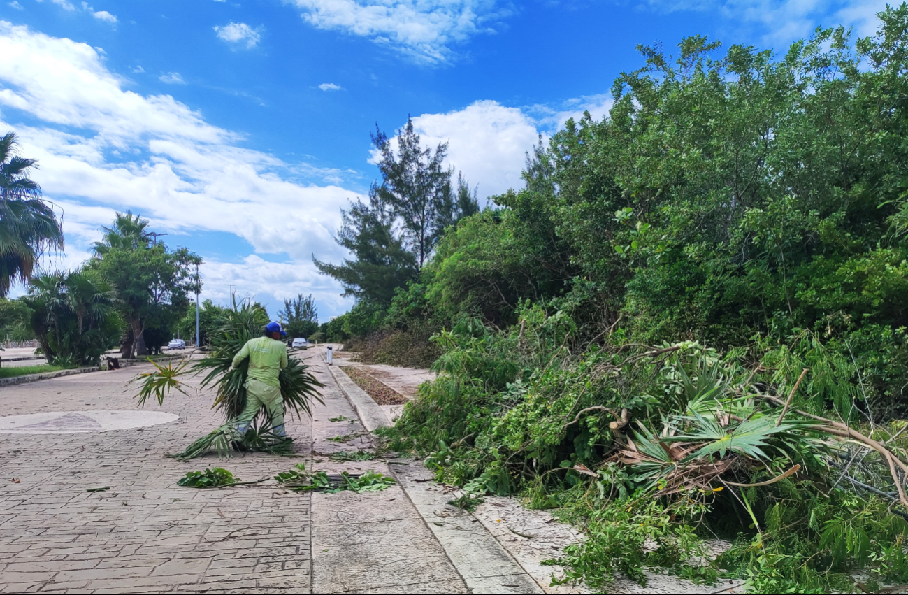 La zona es refugio de peces, aves y reptiles, además, cuenta con gran diversidad de flora