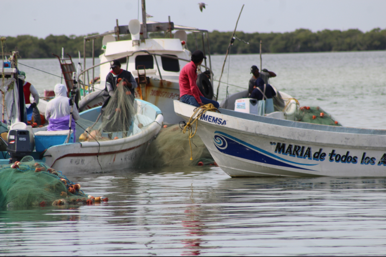 Sepasy reporta 2 hombres de mar fallecidos de Chuburná y Celestún tras operativo de búsqueda