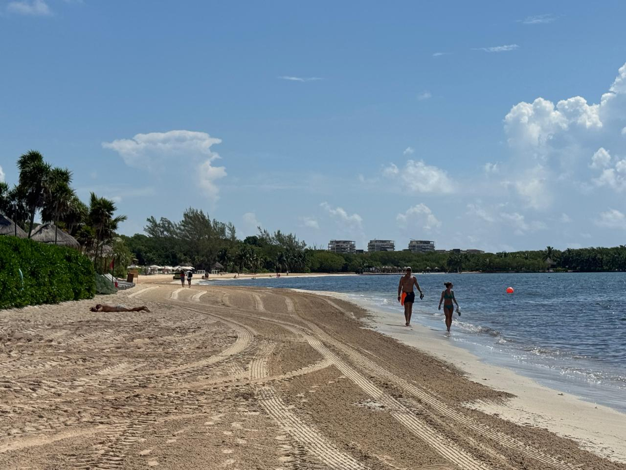 Actualmente existe una crisis en devastación ambiental local y mundial.
