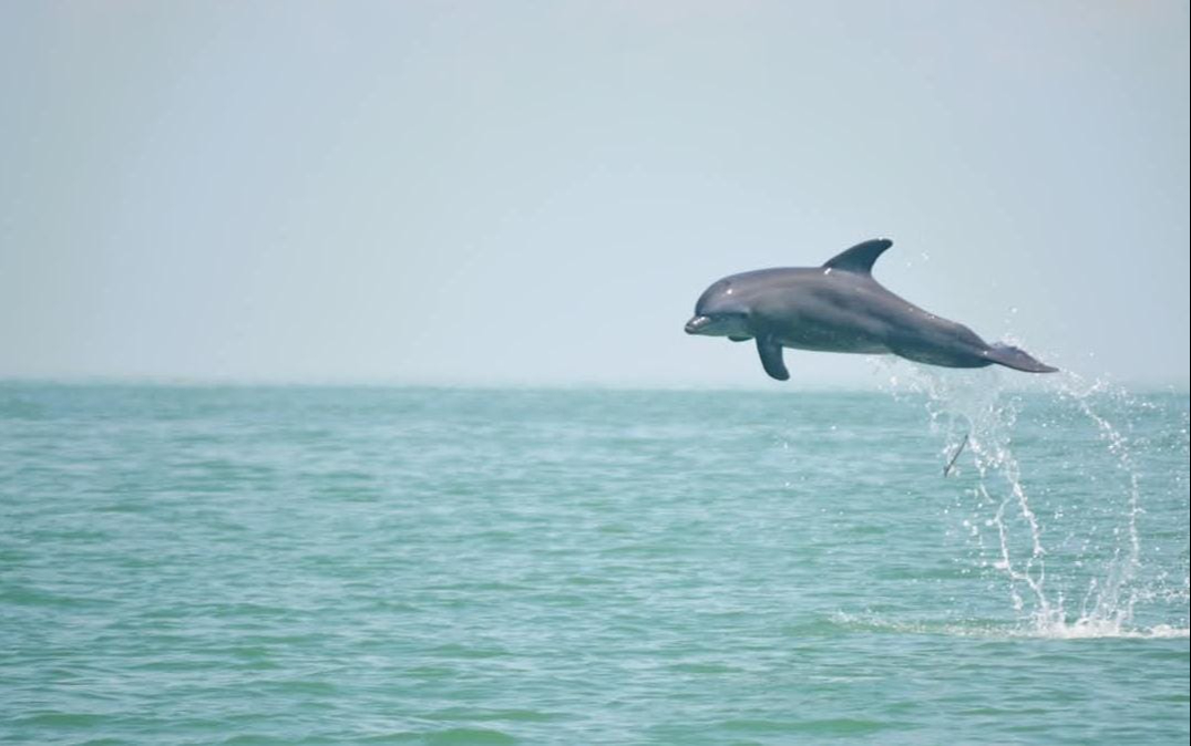 Cajún Uc confía en resultados positivos del plan en 2026