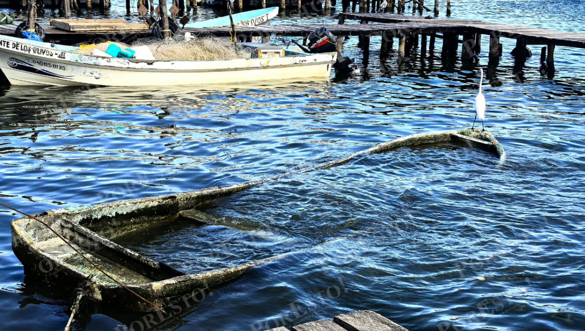 Cooperativas buscan apoyo extraordinario ante desplome de la pesca