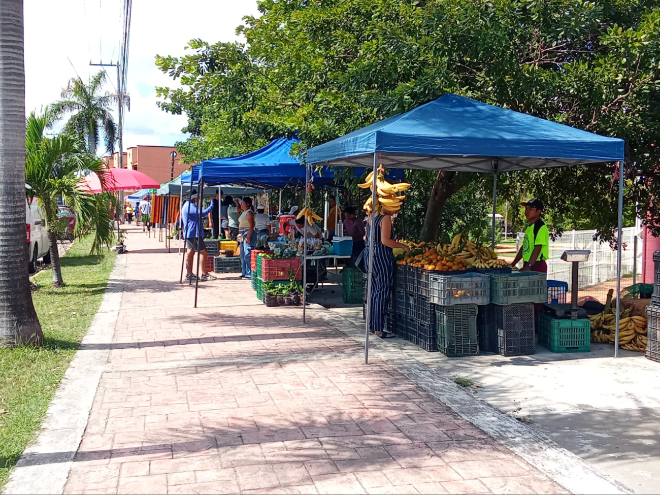 Desde las 3 de la mañana instalan sus puestos para abastecer a quienes buscan productos recién cosechados.
