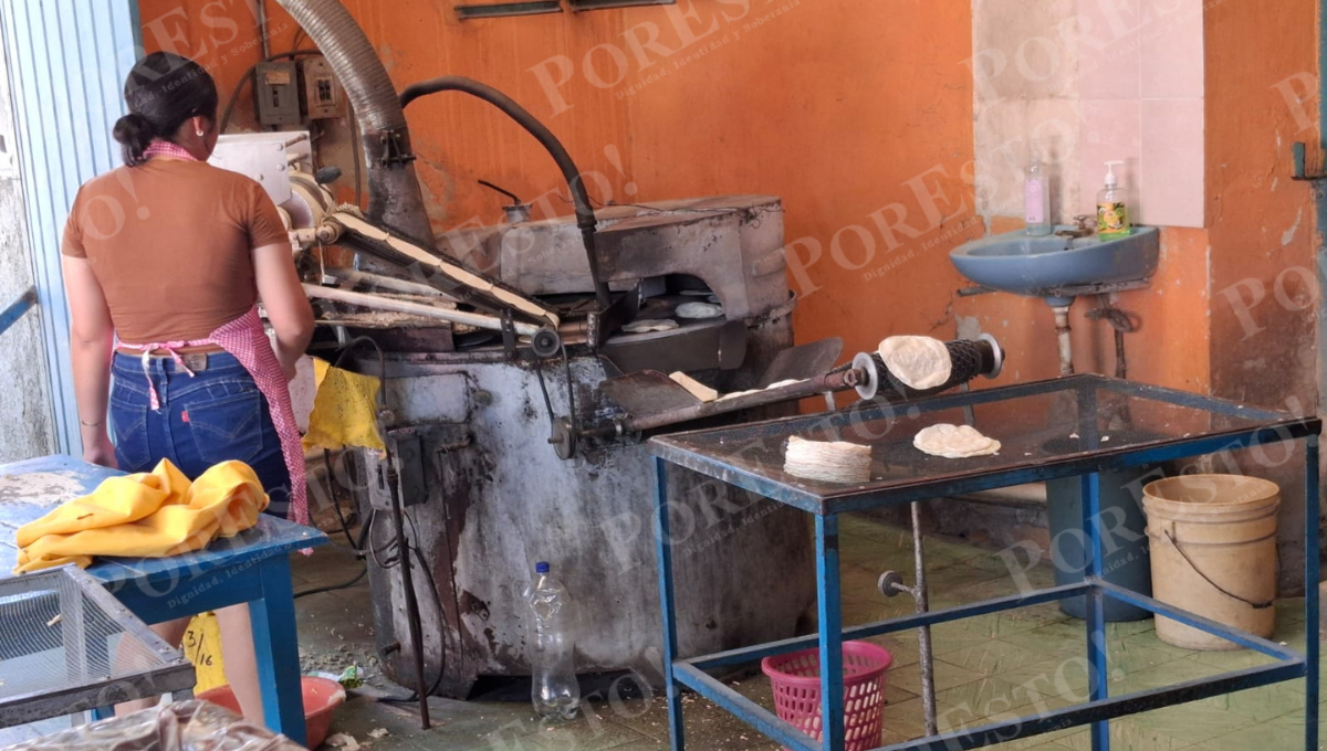 El maíz podría llegar a 7 mil 200 la tonelada y disparar el precio de la tortilla