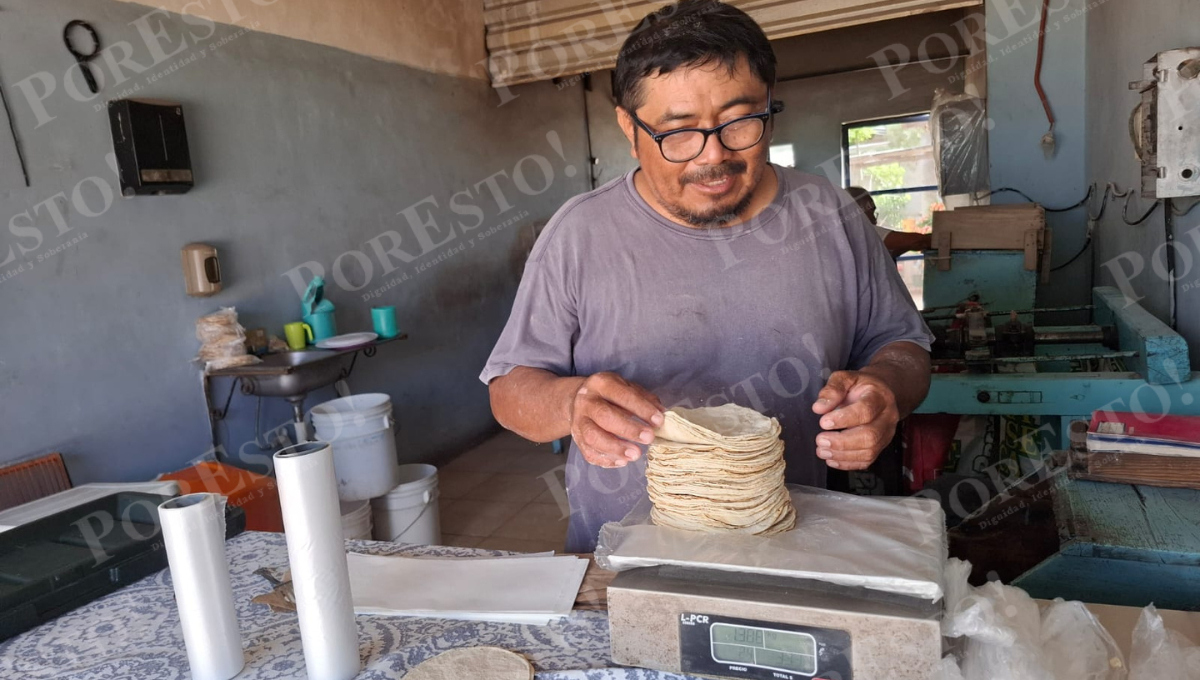 Productores y molineros temen alza en el precio de la tortilla por aumento del maíz