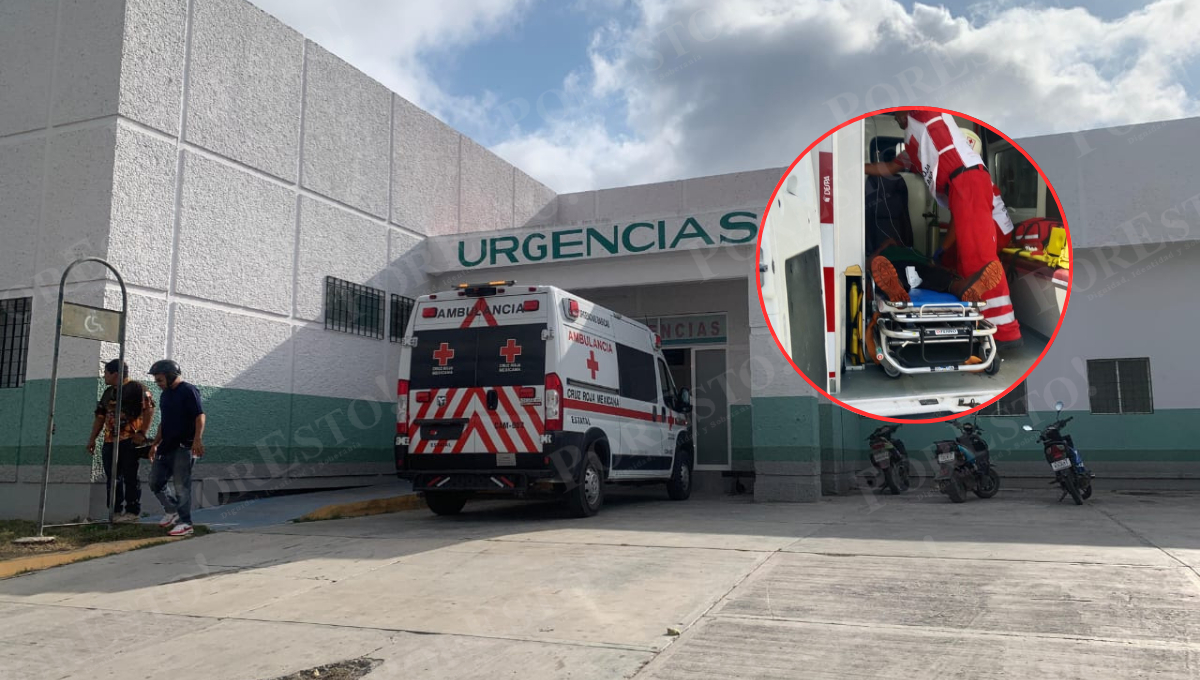 Un adulto mayor de 79 años fue atacado por un enjambre de abejas en la colonia La Cruz, en Champotón.