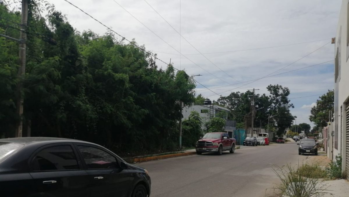 Viven con miedo más de 90 familia de la colonia Magisterial de Chetumal, denuncian que presuntos drogadictos y borrachos han robado 8 veces en la zona