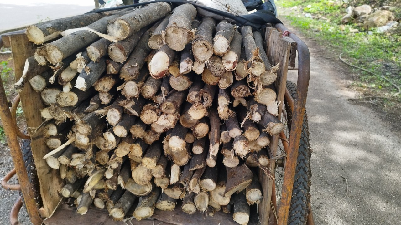 Algunas familias se quedan sin maderas por alta demanda