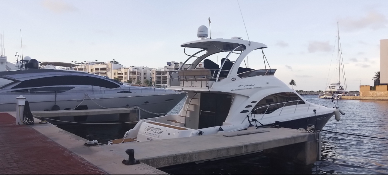 El indo-mexicano gozaba de protección mientras realizaba actividades ilícitas en el estado.