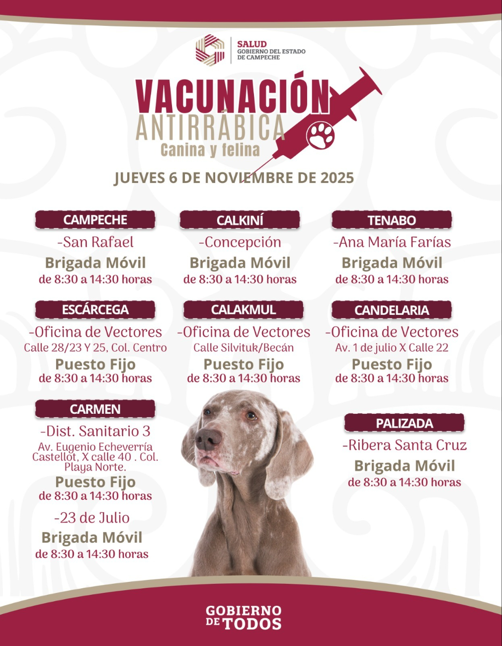 Las brigadas estarán en ocho municipios, de 8:30 a 14:30 horas, aplicando vacunas gratuitas.