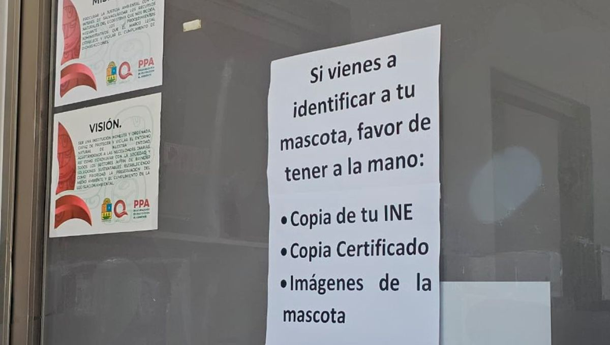 Elabora catálogo con más de 700 fotos para agilizar denuncias de los más de las más de 600 personas afectadas por el fraude del crematorio de animales Xibalbá
