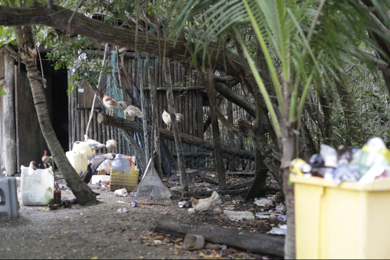 Evidencian desatención en el manejo de residuos que causan lixiviados y llegan al agua
