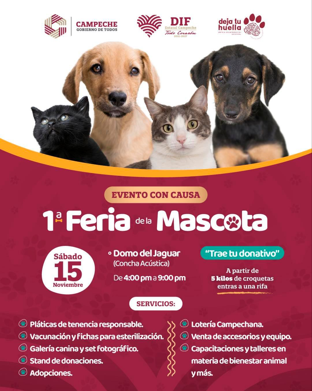 Las actividades se realizarán de 4:00 a 9:00 de la noche.