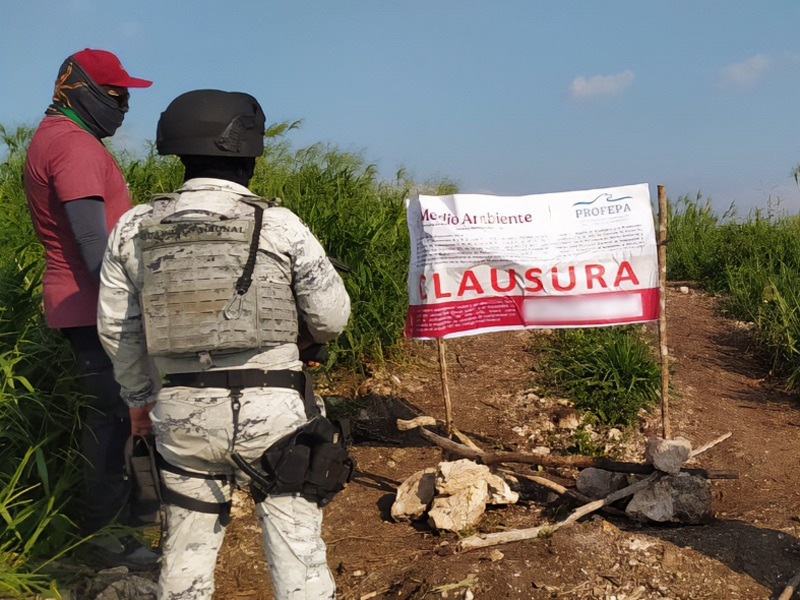 Obras sin estudios de impacto ambiental provocan clausuras en Campeche y Ciudad del Carmen