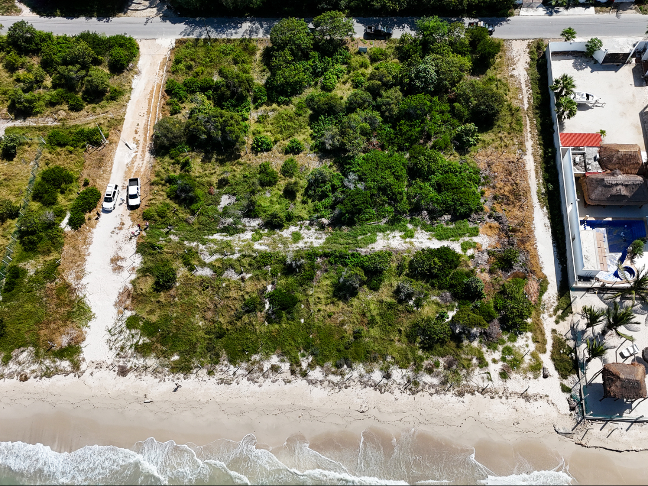 La Profepa resaltó la importancia de preservar los ecosistemas costeros