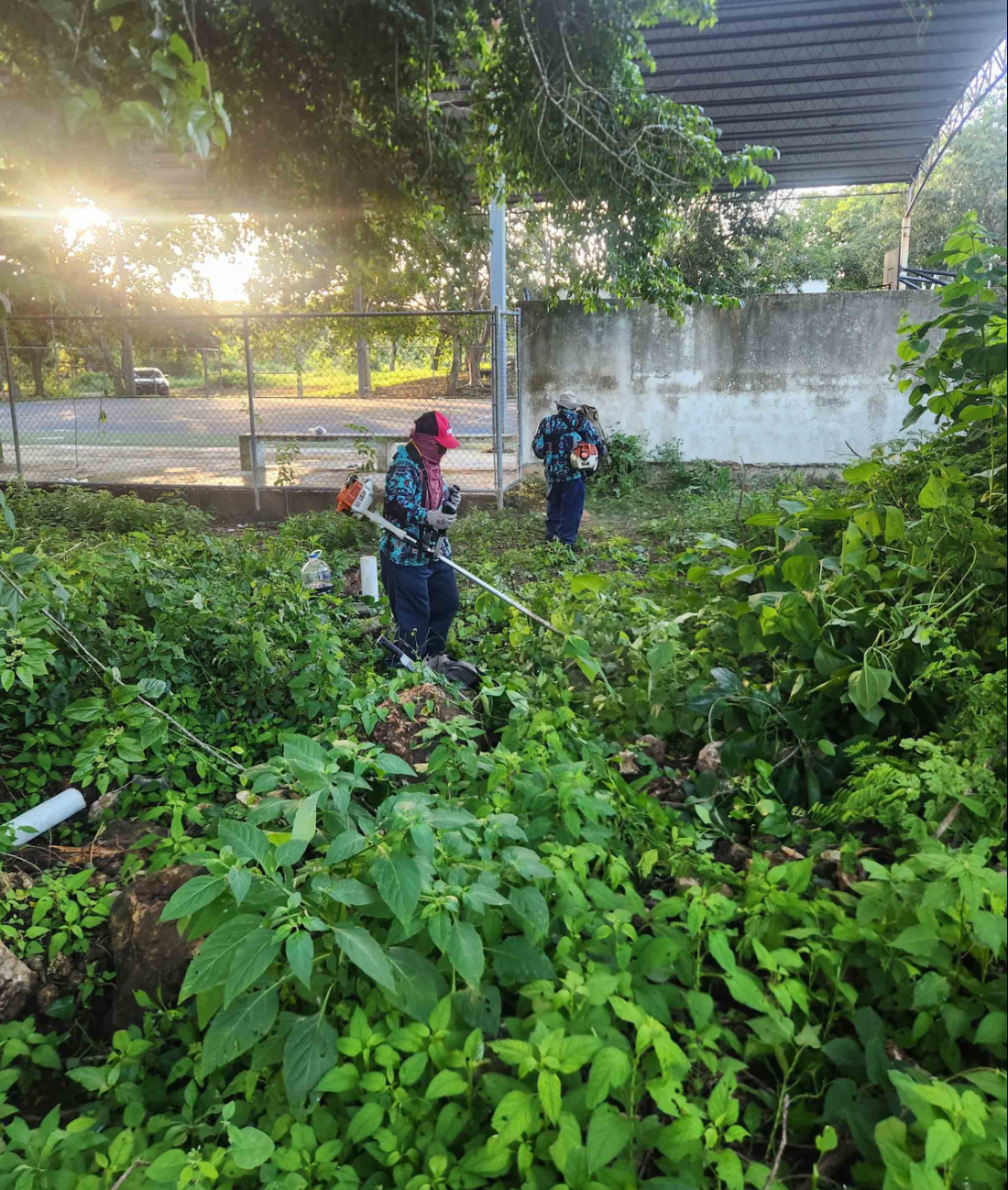 Se construirán Viviendas para el Bienestar en Tahmek