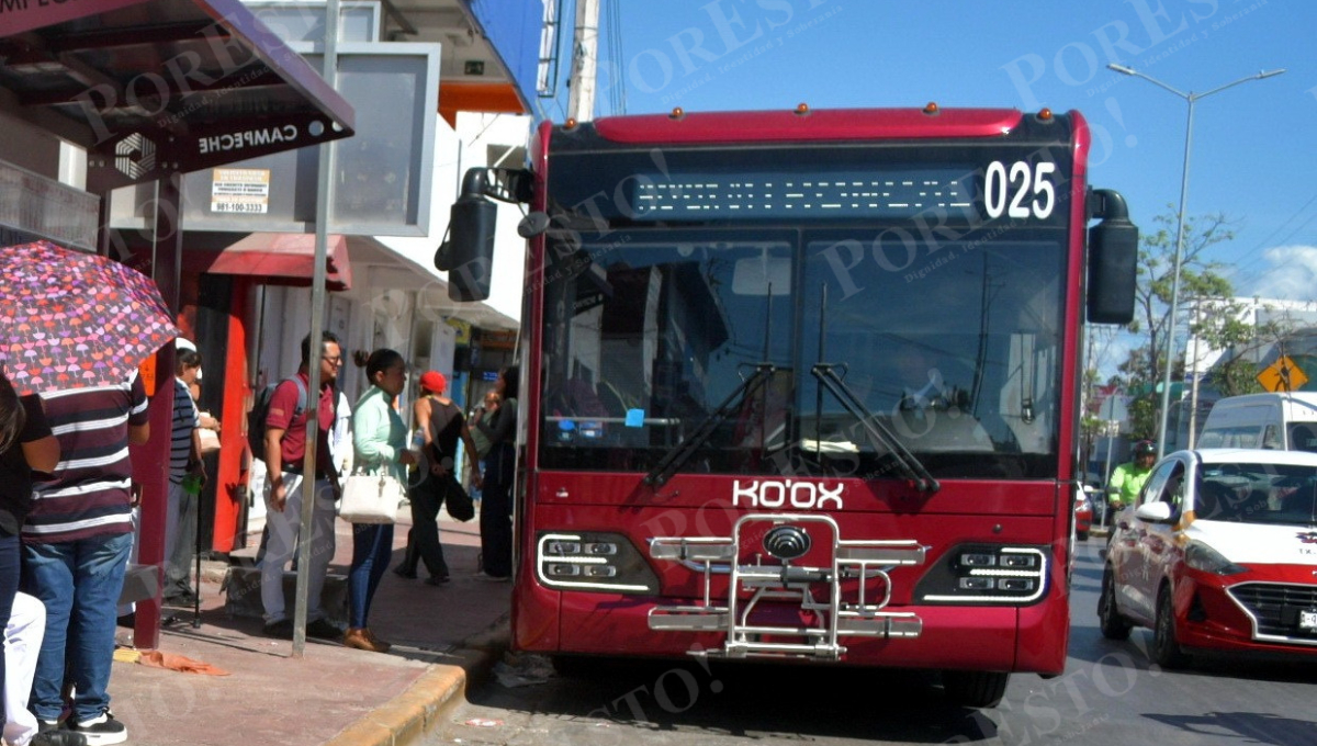 Ko’ox llegó para quedarse: autoridades descartan volver al viejo sistema de transporte en Campeche