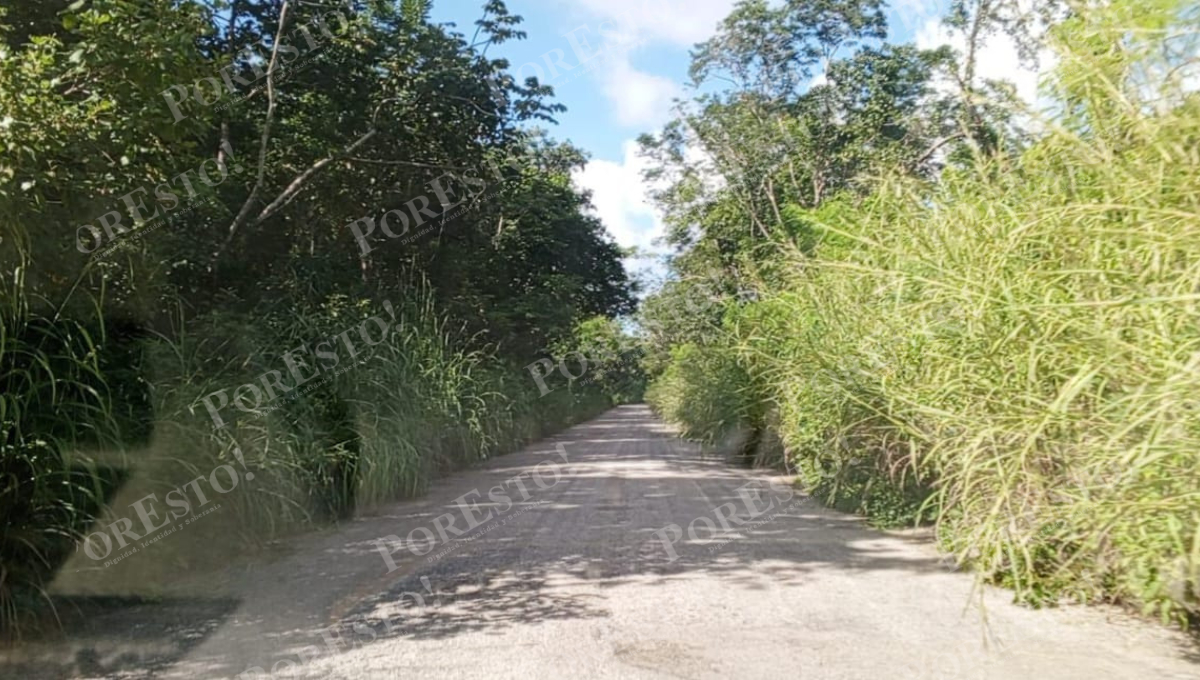 Sin apoyo gubernamental, pobladores limpian tramo clave en Champotón