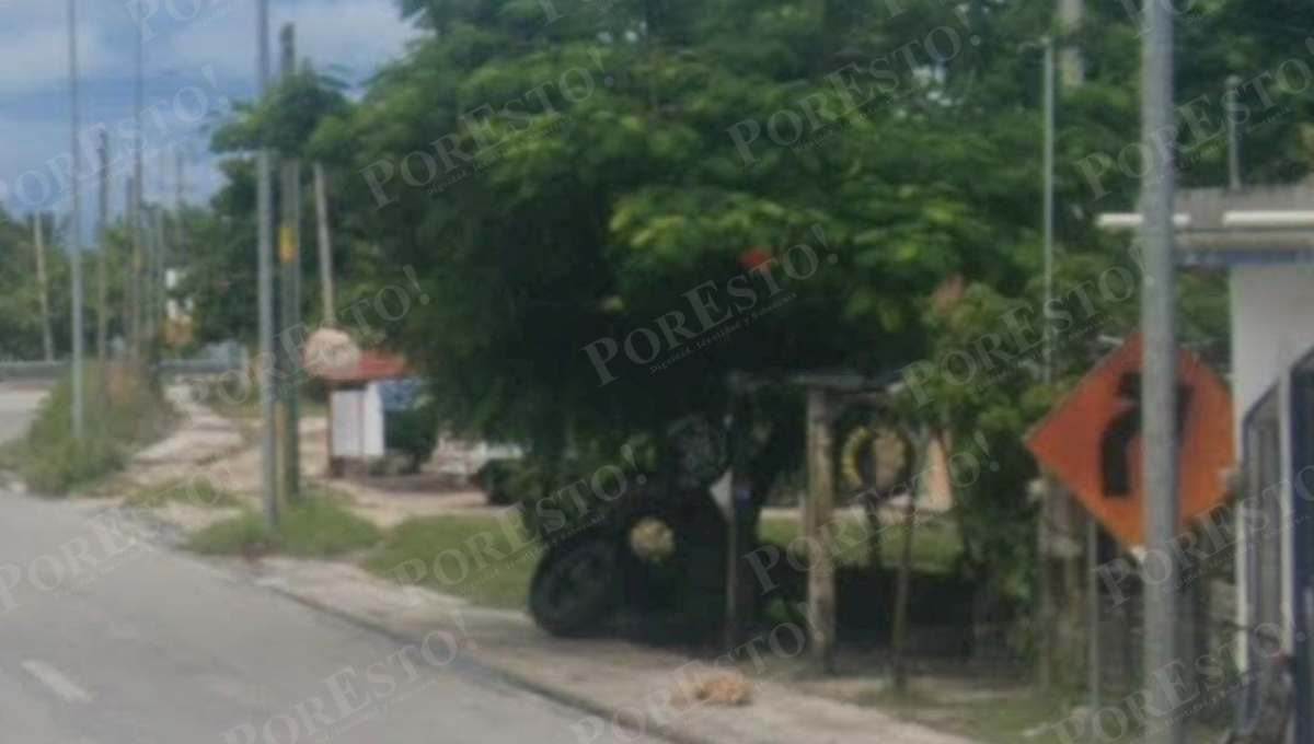 Tras el ataque, los responsables huyeron del lugar.